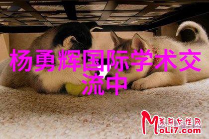 超高温瞬时灭菌机我的厨房新宠儿不仅美味还安全