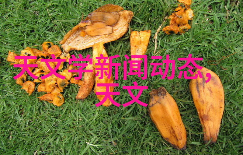 揭秘tds笔的骗局背后欺诈与失信的真相大曝光