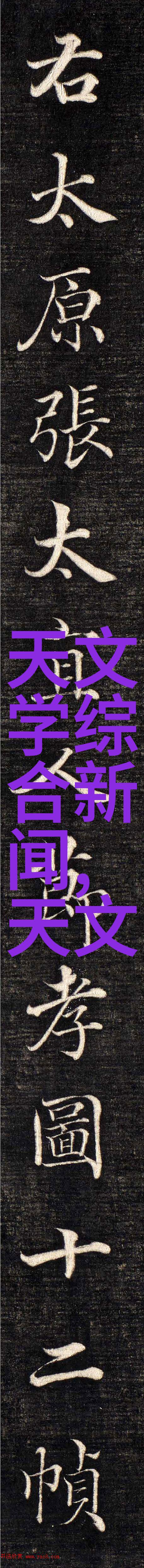 杀虫公司收费标准解析预防与控制的成本考量