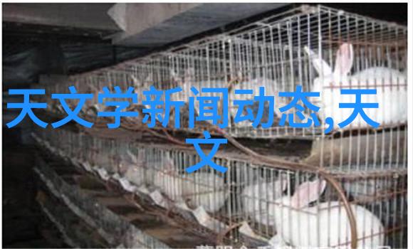 PVC水管价格表解析全方位了解PVC管材成本与市场动态
