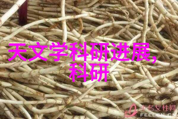 2022年房间装修效果图温馨居所的艺术之选