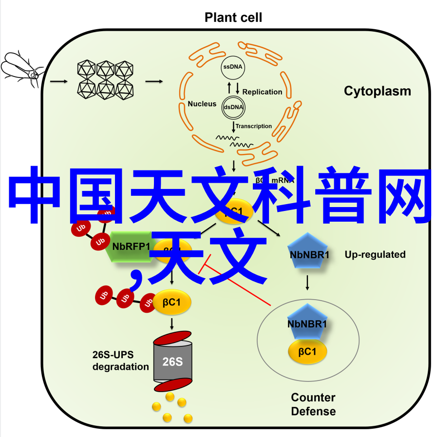 化工科技与传统医学的融合创新新时代炮灸疗法的发展趋势