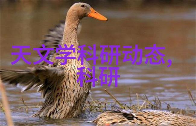 深圳装修设计公司我的梦想居所深圳这家装修公司是怎么帮我变幻出家的