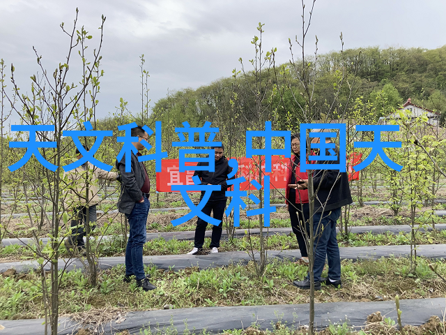 药用装备上市公司全览揭秘制药行业的关键供应商