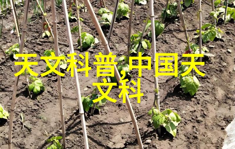 合肥财经职业学院学金经纶筑梦未来