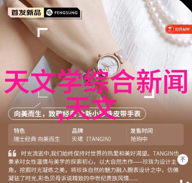 探索可研报告的魅力哪里隐藏着项目成功的秘密