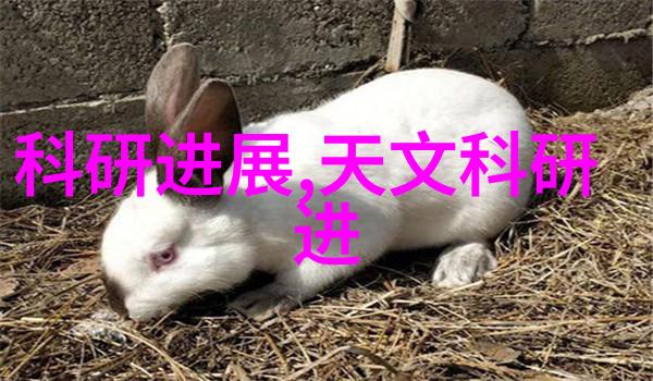 专利探索智慧产权之窗