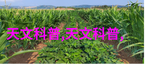 工业水处理过滤器设备高效筛选未来清洁保障生产