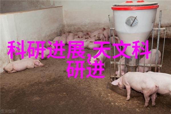 西安职业技术教育的新篇章陕西职业技术学院的发展与成就