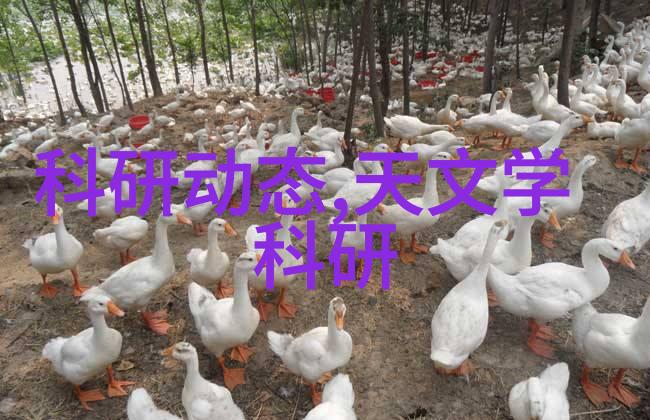 实验室成套设备探索未知的精彩之旅