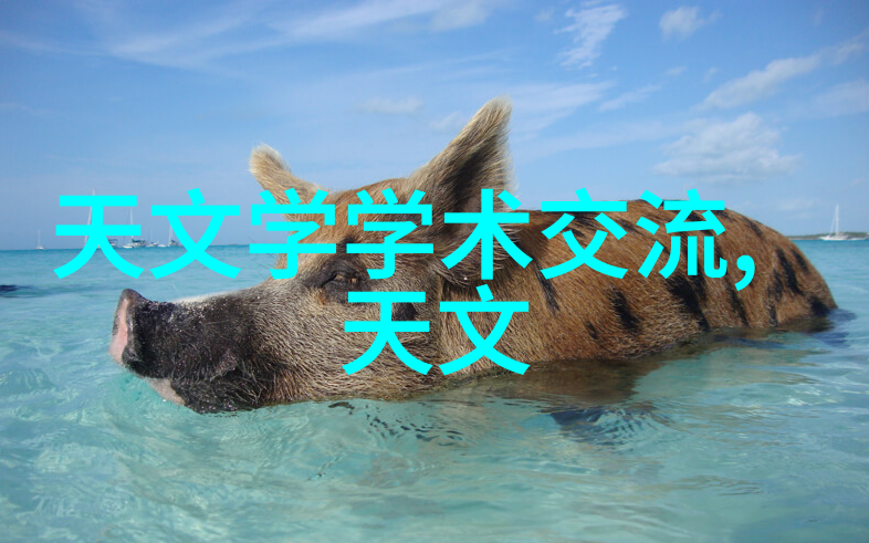 金属之争波纹管与编织管哪路更胜